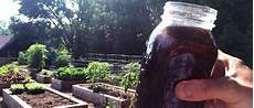 Liquid Organic Fertilizer