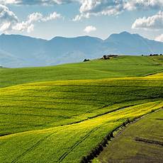 Liquid Organo-Mineral Fertilizers
