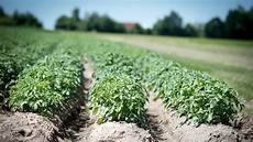 Liquid Organo-Mineral Fertilizers