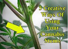 Liquid Solid Leaves Fertilizers