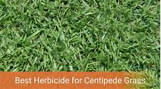 Liquid Solid Leaves Fertilizers