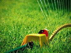 Menards Crabgrass Preventer