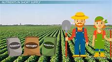 Mineral Fertilizers