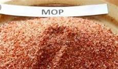 Muriate Of Potash