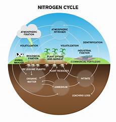 Nitrogen Based Fertilizer