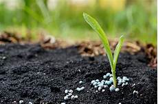 Nitrogen Production Plants