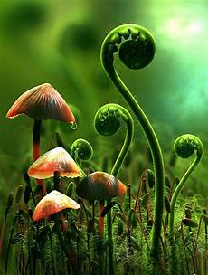 Nitrogen Production Plants