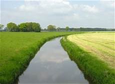Nitrogen Springs