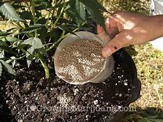 Nk With Liquid Fertilizers