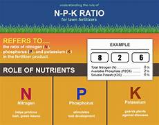 Npk Fertilizer Plant