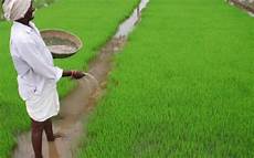 Npk Fertilizer Plant