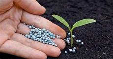 Npk Fertilizers