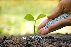 Npk Fertilizers