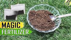 Orchid Fertilizer Homemade