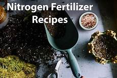 Orchid Fertilizer Homemade