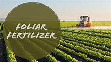 Organic Fertilizer Manufacturer