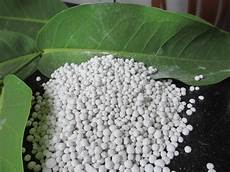 Organic Fertilizer