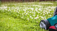 Organic Grass Fertilizer
