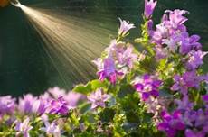 Organic Liquid Fertilizer