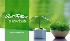 Organic Liquid Fertilizers