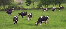 Organic Manure
