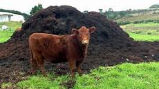 Organic Nitrogen Fertilizer