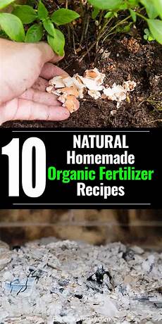 Organic Phosphorus Fertilizer