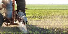 Organic Potassium Fertilizer