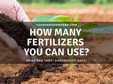 Organic Potassium Fertilizer