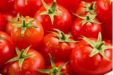 Organic Tomato Fertilizer