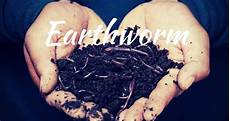 Organic Worm Castings