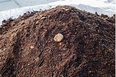 Organic Worm Castings