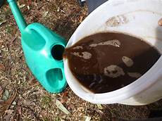 Organic Worm Fertilizers