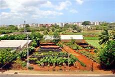 Organo -Mineral Fertilizers