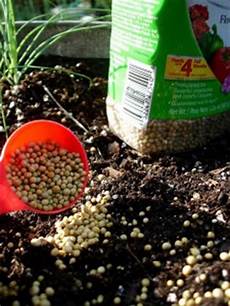 Osmocote Fertilizer