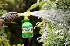 Phosphate Fertilizers