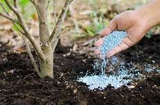 Phosphate Fertilizers