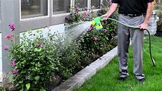 Plant Feeding Fertilizer