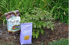 Plant Tone Fertilizer