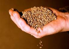 Potash Fertiliser