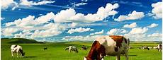 Powder Fertilizers