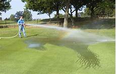 Powder Organic Fertilizer