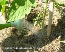 Powdered Fertilizers