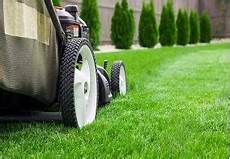 Pre Turfing Fertiliser