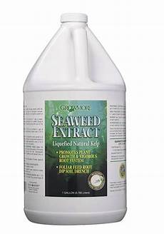Seaweed Extract Fertilizer