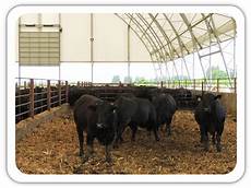 Sheep Fertilizer