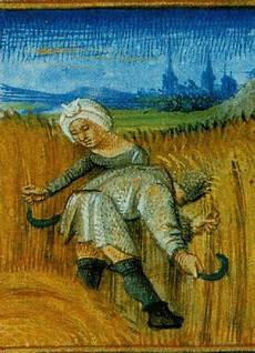 Sheep Fertilizer