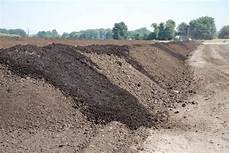 Sheep Manure