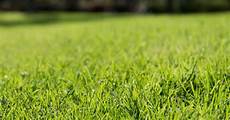 Sod Fertilizer