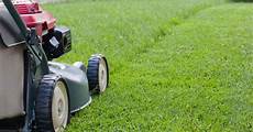 Sod Fertilizer